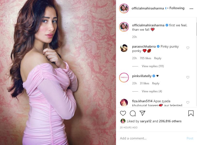 Paras Chhabra's Flirty Comment On Mahira Sharma's Latest Picture