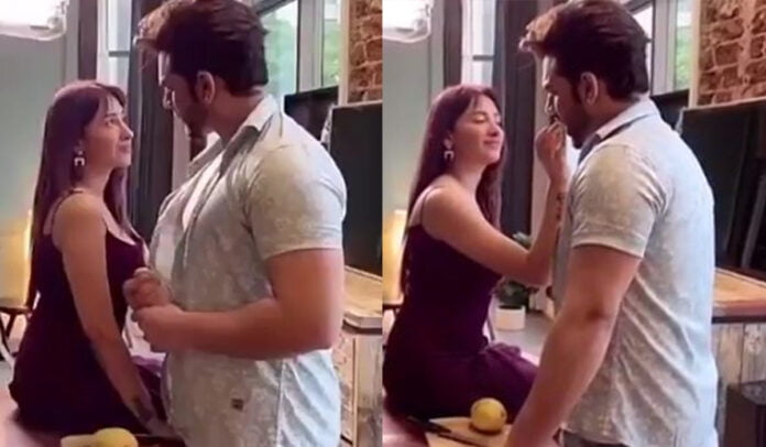 Paras Chhabra And Mahira Sharma’s Sizzling Chemistry In The BTS Video