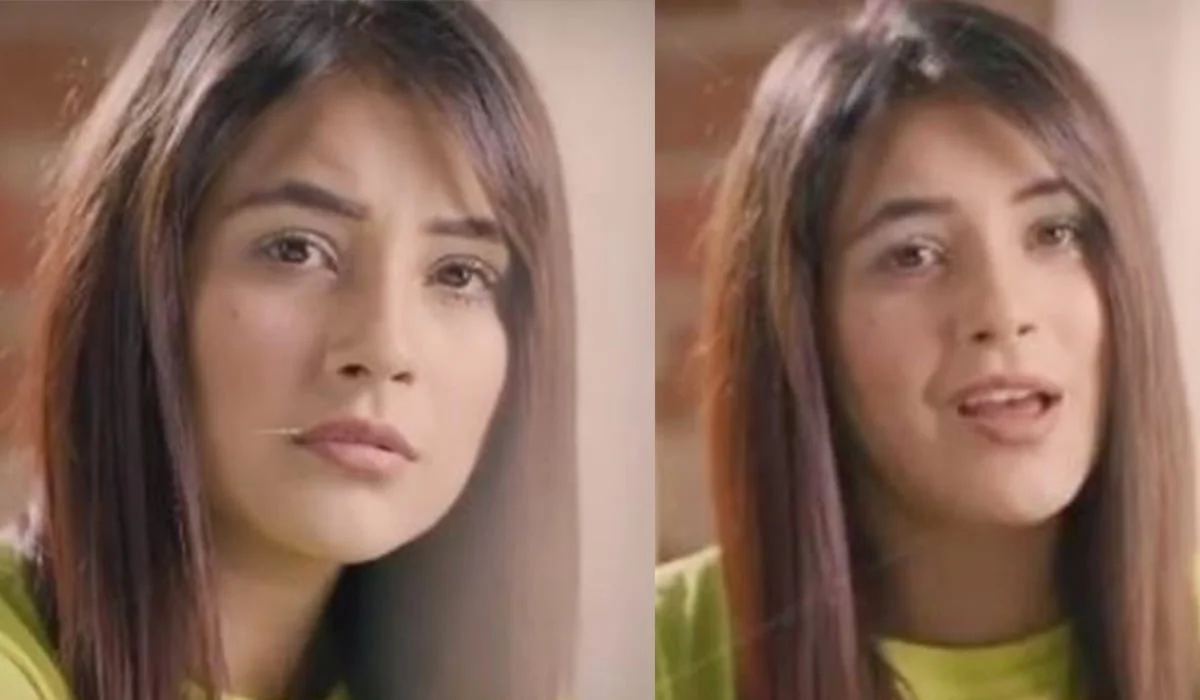 Shehnaaz Gill’s heartfelt tribute to thank India's brave workers