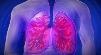 How Bacteria Defeat Cystic Fibrosis Drugs