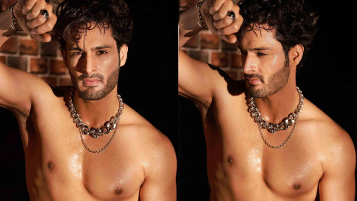 Bigg Boss 15 Umar Riazs Shirtless Pictures Making Us Drool 