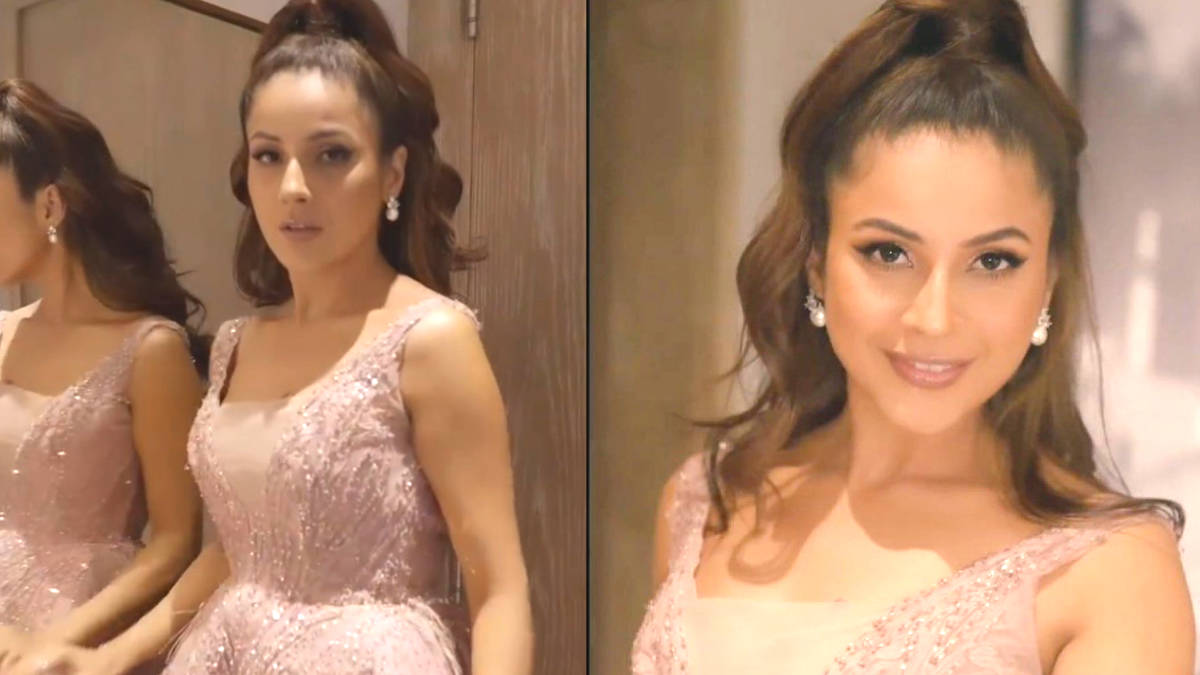 Shehnaaz Gill Flaunts Her Beauty In Blush Pink Dress