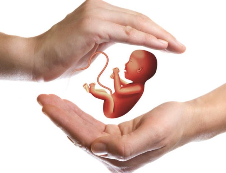 1stever Human Synthetic Model Embryos Developed Without Eggs, Sperm