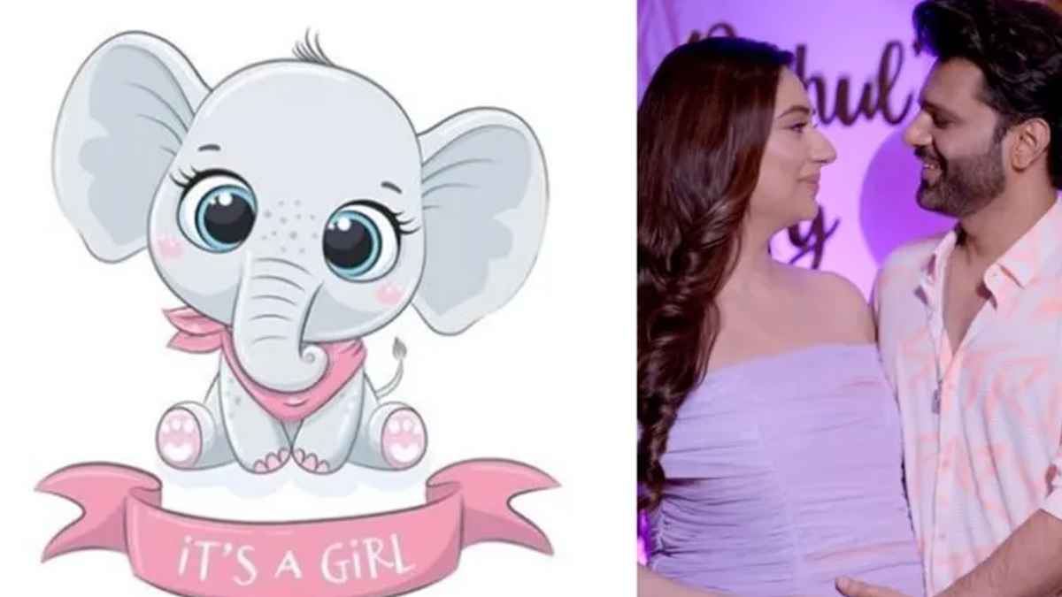 Rahul Vaidya, Disha Parmar Blessed With Baby Girl