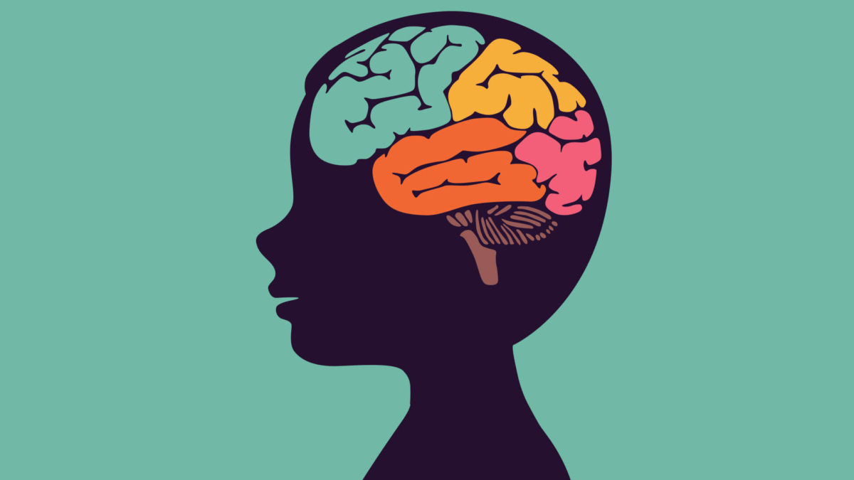 Hunger Hormones Impact Decisionmaking Brain Area To Drive Animal’s