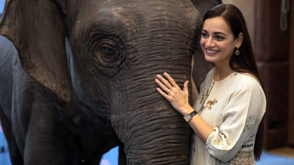 Dia Mirza Named PETA India’s 2023 Person Of The Year