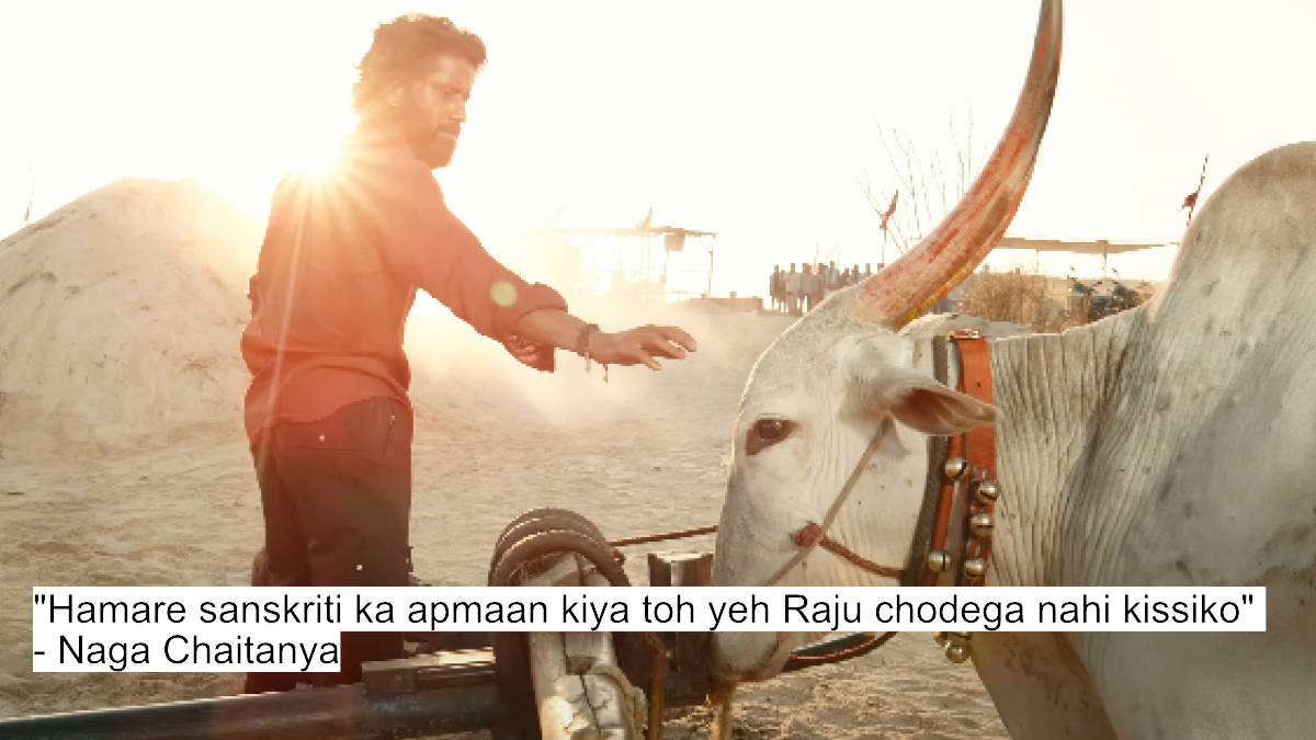 hamare sanskriti ka apmaan kiya toh yeh raju chodega nahi kissiko - naga chaitanya