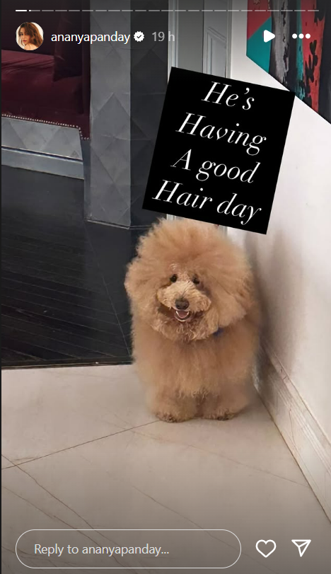 ananya pandays dog diaries are the ultimate mood booster 1