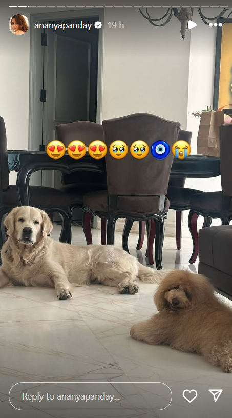 ananya pandays dog diaries are the ultimate mood booster 2