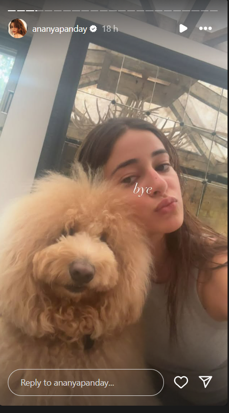 ananya pandays dog diaries are the ultimate mood booster 3