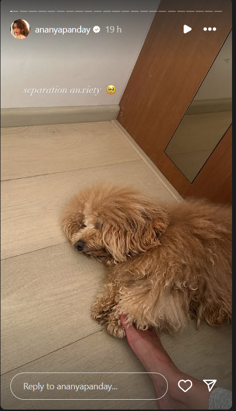ananya pandays dog diaries are the ultimate mood booster