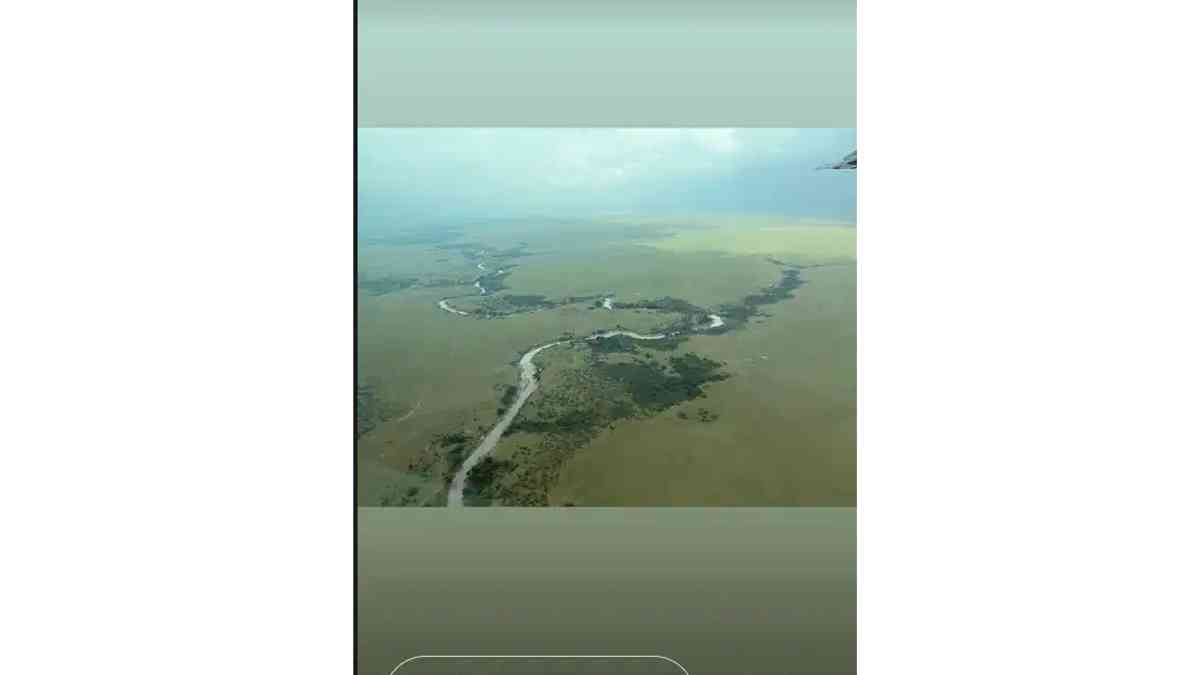 priyanka chopras instagram story 3
