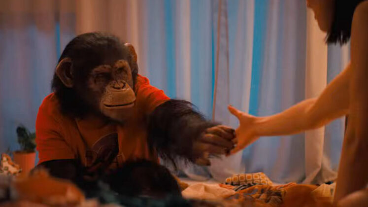 Primate (Paramount Pictures) Promises A Gripping Tale Of Survival And Fear