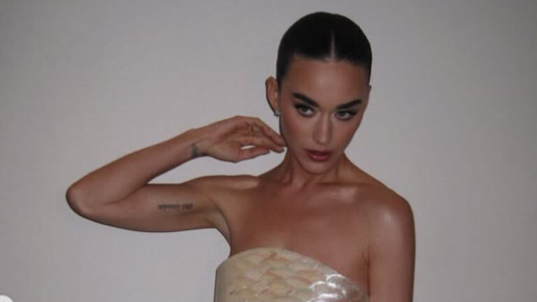 Katy Perry Urges Fans to Oppose ICE Funding and Faces Mixed Reactions Online