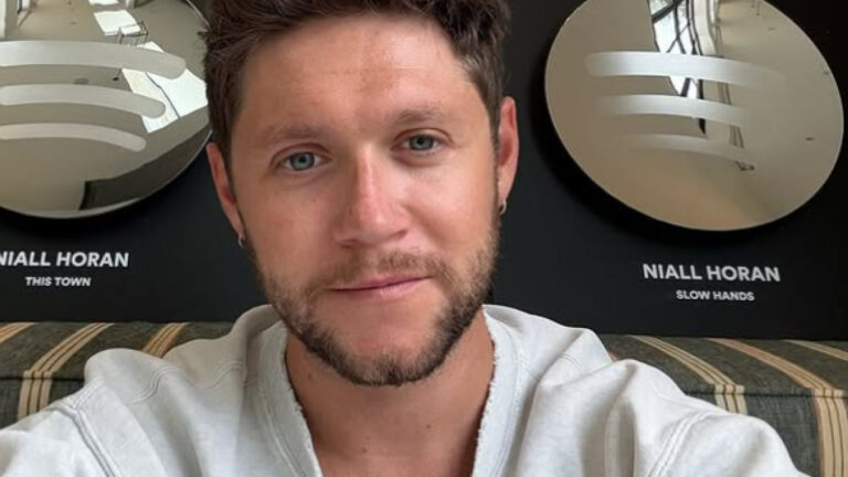 Niall Horan Surprises Brooklyn Dinner Guests With Wine and Possible New Lyrics Tease