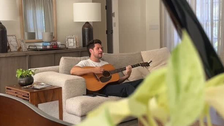 Niall Horan’s New Album Announcement Will Blow Your Mind!