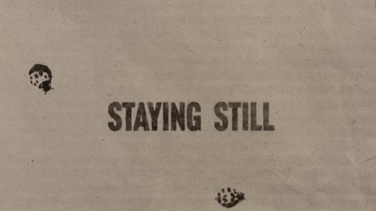 Noah Kahan – Staying Still Song Lyrics